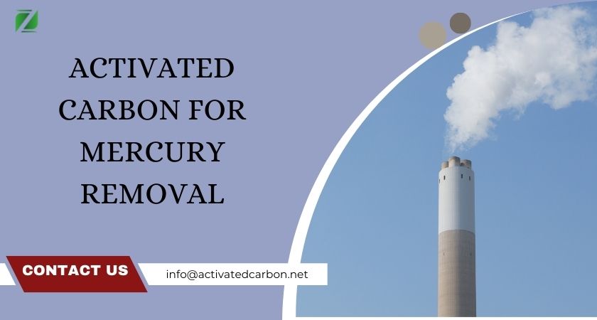 Activated Carbon for Mercury Removal