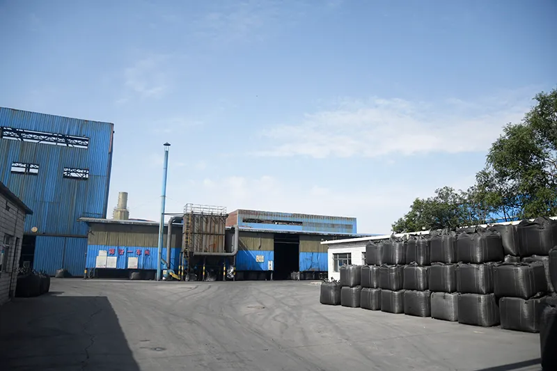 Activated Carbon Manufacturer in Cambodia 1 activated carbon factory 4